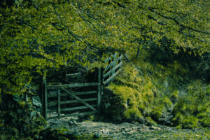 Exmoor Landscape, Please Shut the Gate